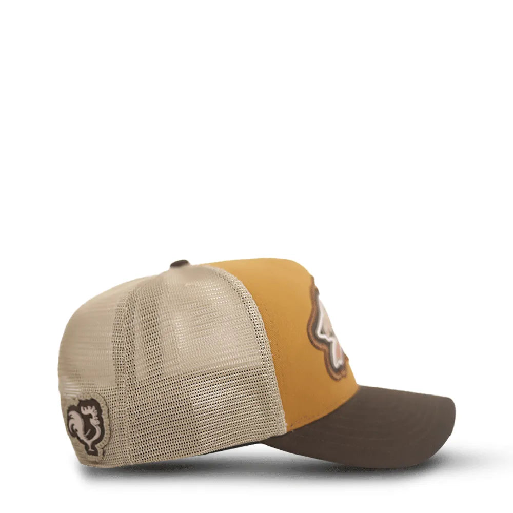 Boné Country Masculino Feminino