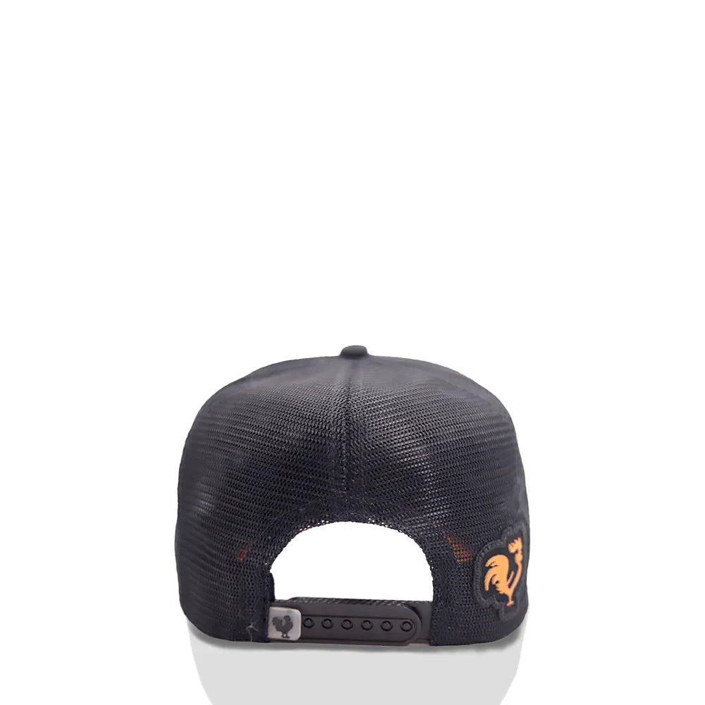 Boné Country Masculino Feminino Viola
