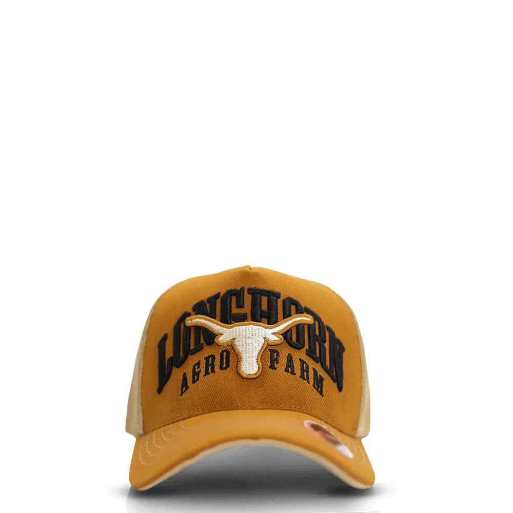 Boné Country Masculino Feminino Longhorn