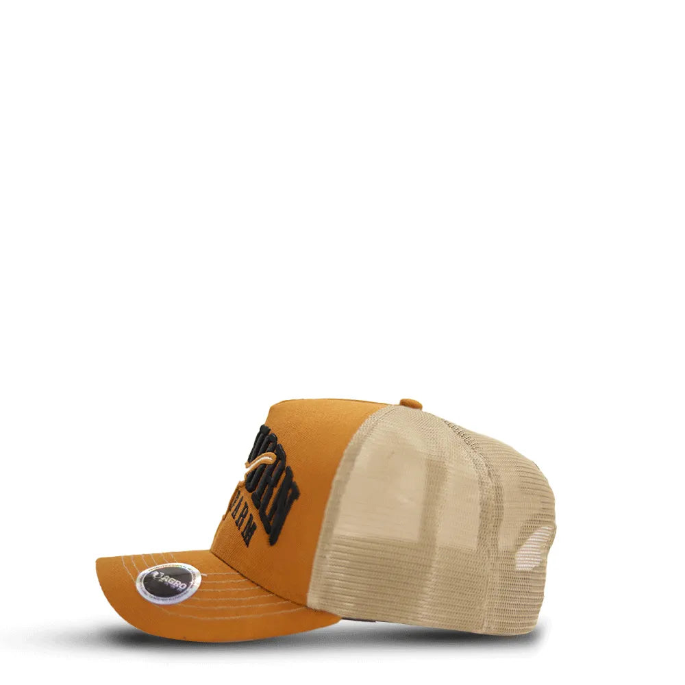 Boné Country Masculino Feminino Longhorn