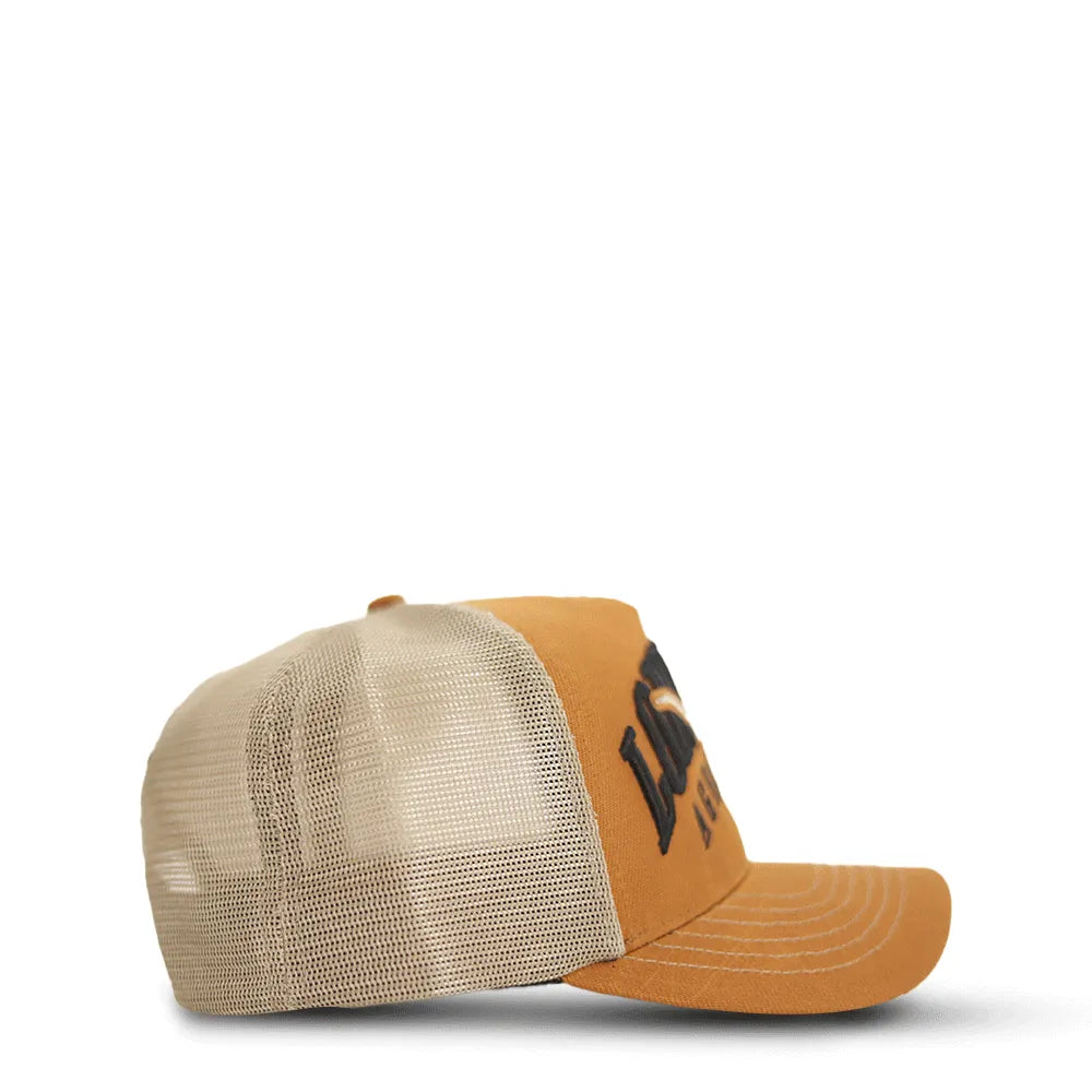 Boné Country Masculino Feminino Longhorn